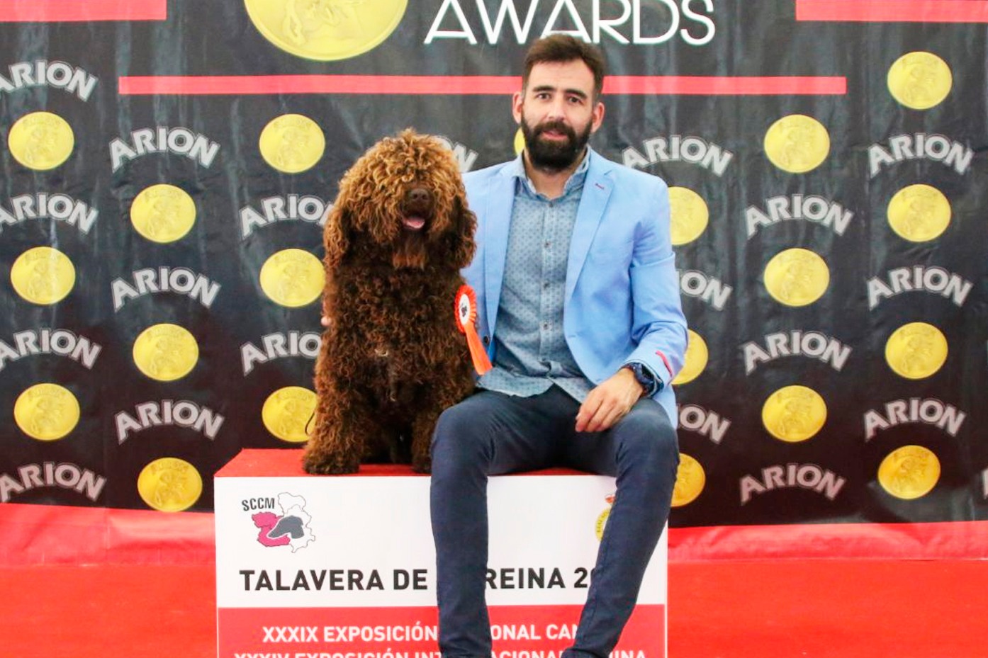 De Miróbriga Brolly, Perro de Agua Español.
