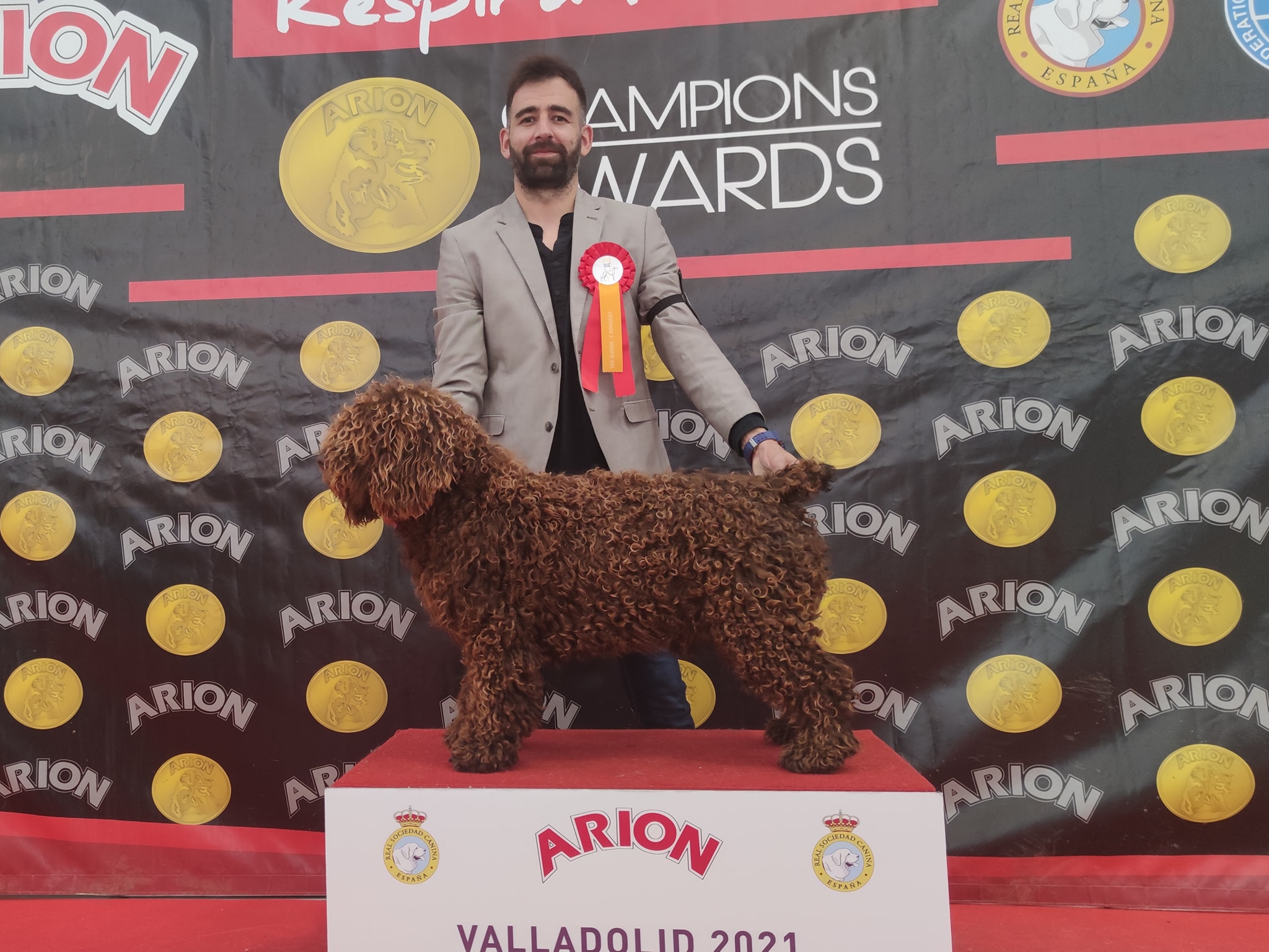 De Miróbriga Brolly, Perro de Agua Español.