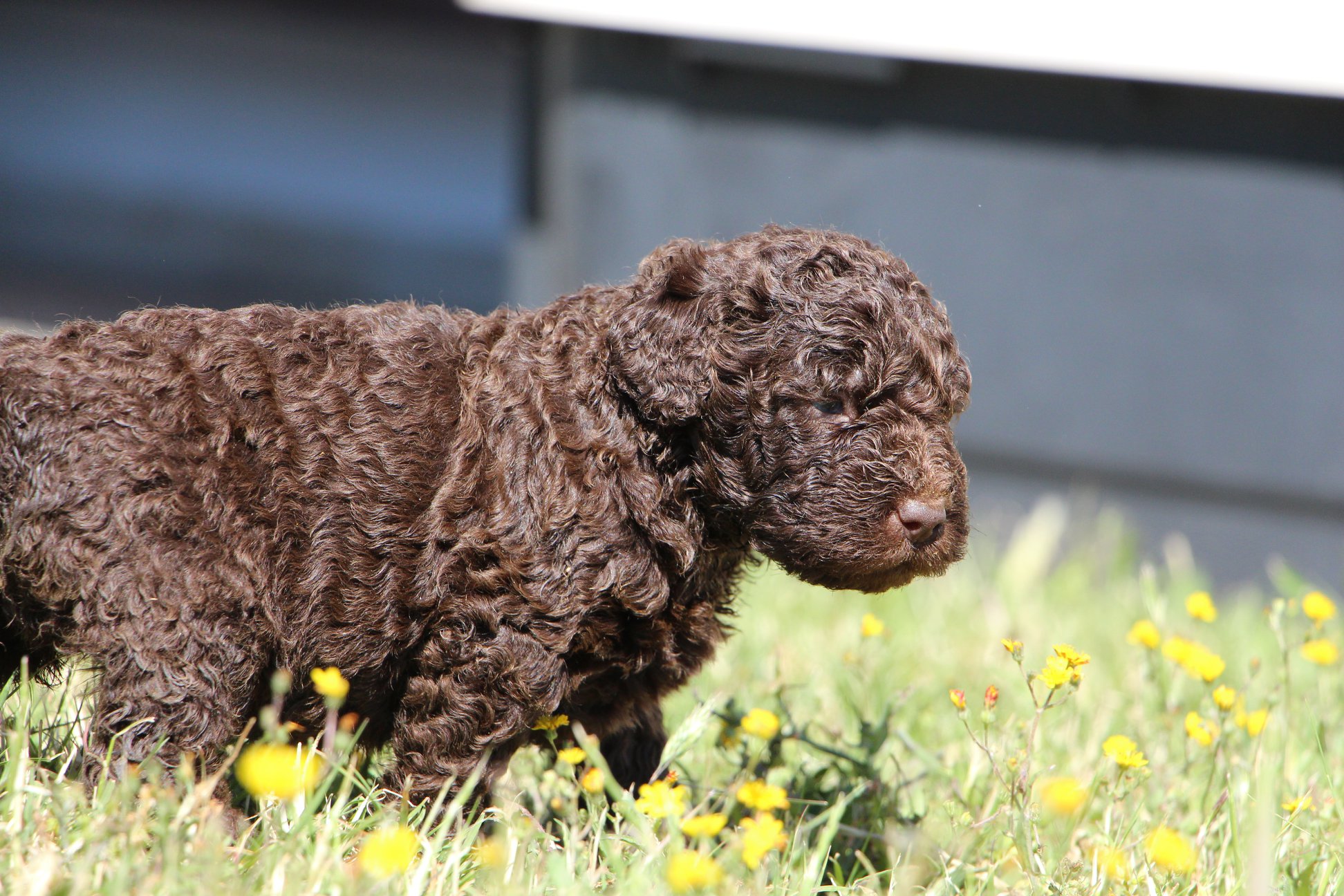 61921252 868002643547697 7087319938234318848 O