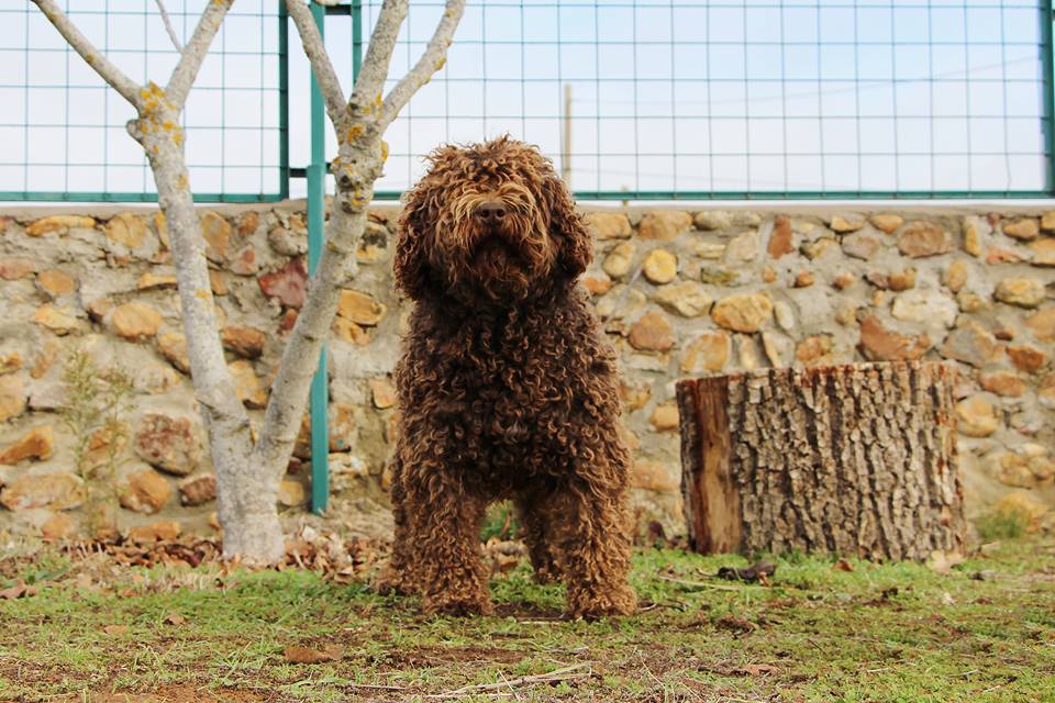 Bimba20171 3