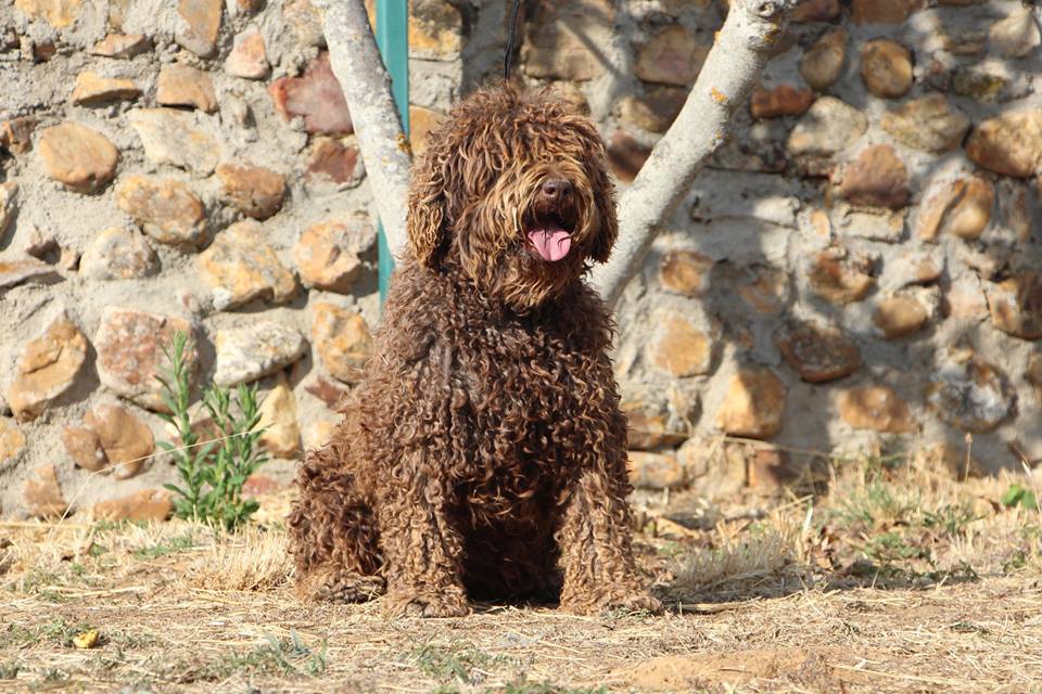 Bimba20171 8