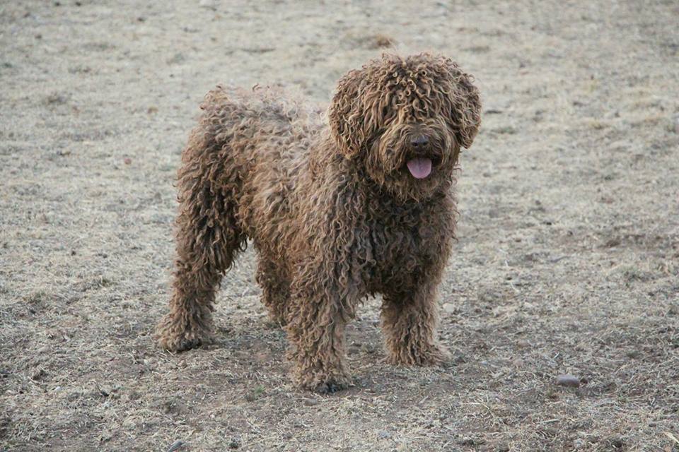 Bimba20171 9